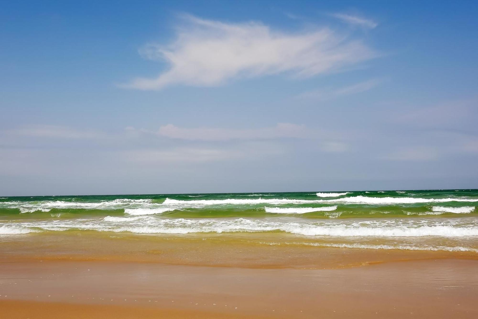 Surfside Condos South Padre Island Δωμάτιο φωτογραφία