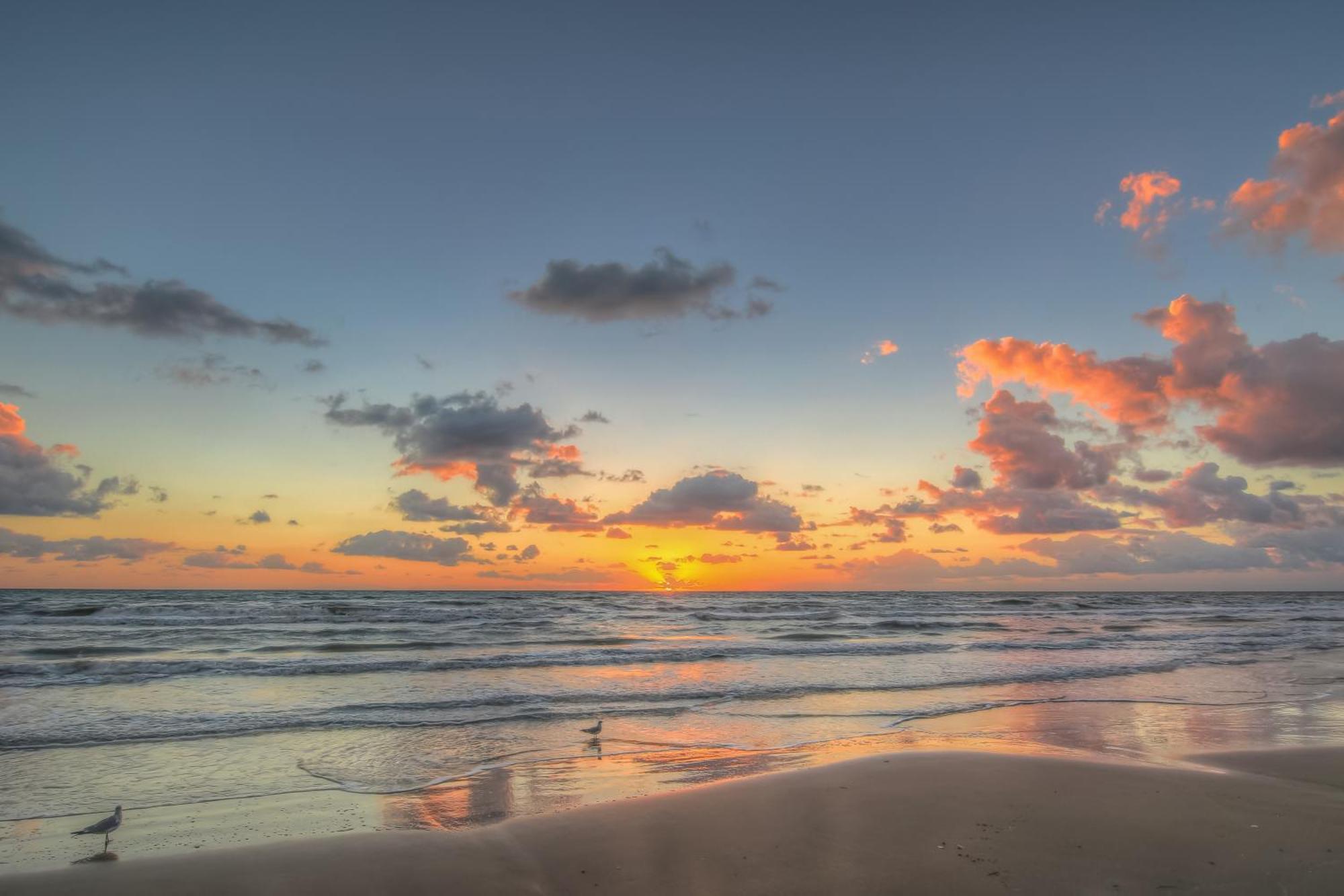 Surfside Condos South Padre Island Δωμάτιο φωτογραφία